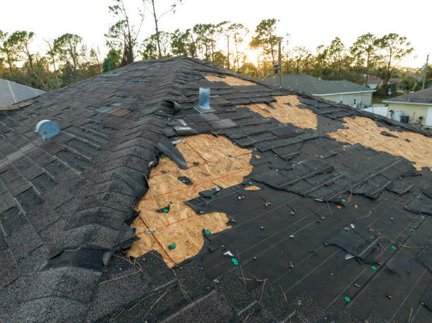 Best Roof Installation  in Muscle Shos, AL